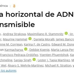 Captura de pantalla 2025-10-28 115813 Captura de pantalla 2025-10-28 115813