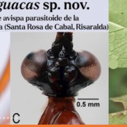 Diseño sin título (21)