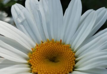 WhatsApp Image 2026-01-20 at 3.48.10 PM