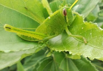 WhatsApp Image 2026-01-20 at 3.50.07 PM