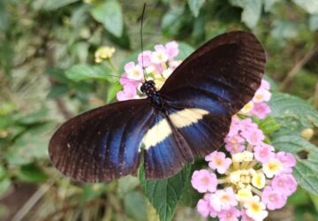 WhatsApp Image 2026-01-20 at 3.55.04 PM (2)