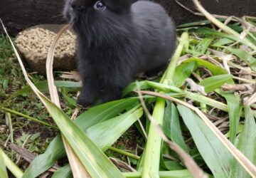 WhatsApp Image 2026-01-20 at 3.55.05 PM